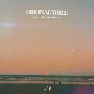 绿帽男再次给娇妻找黑人
